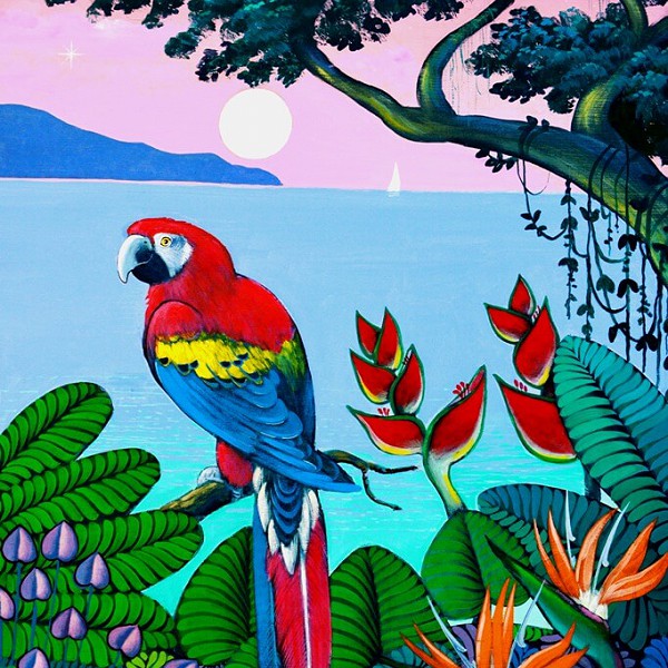 guacamaya-by-javier-nino